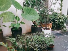 -花迹(富春江东街店)