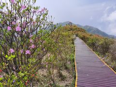 -大围山国家森林公园
