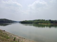 -佛手湖郊野公园