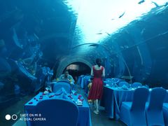 -海棠湾洲际-涛·海底餐厅·美人鱼·自助餐·海底隧道