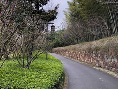 -苏州环秀晓筑养生度假村