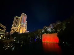 -拉斯维加斯永利酒店