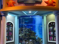 -成都浩海立方海洋公园