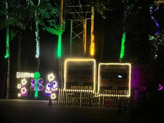 -枫花园汽车电影院(朝阳公园店)