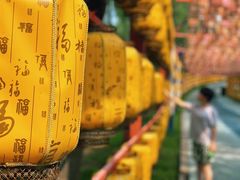 -青龙湖公园