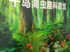 -绿城千岛湖喜来登度假酒店