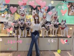 -Husky Go! 哈士奇体验馆·宠物咖啡厅狗咖