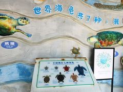 -广东惠东海龟国家级自然保护区