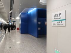 -望京西(地铁站)