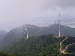 -盐洲岛