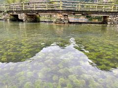 -靖西鹅泉风景区