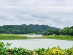 -美的鹭湖探索王国