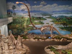 -自贡恐龙博物馆