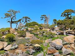 -罗红摄影艺术馆