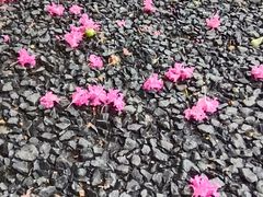 -成都银泰城