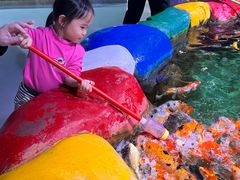 -顺德南宏海立方海洋公园
