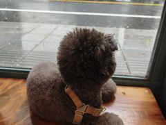 -Tequila Espresso(嘉善路店)