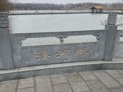 -溱湖国家湿地公园