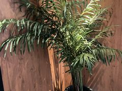 -新紫霞养生·影院足道·SPA(金山区店)