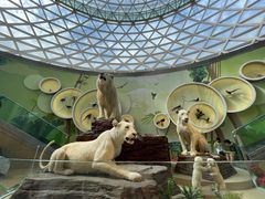 -陕西自然博物馆