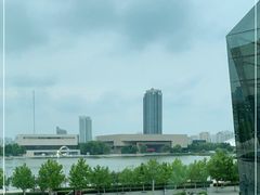 -羲和雅苑•北京烤鸭(乐园道万象城店)
