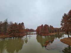 -宁波杭州湾国家湿地公园