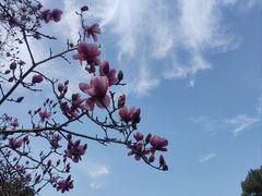 -台州府城(东湖)