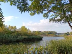 -丁香湖公园