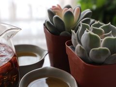 -宝鸡东道花鸟鱼虫市场(吉利花园商场店)