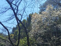 -中国茶叶博物馆(双峰馆区)