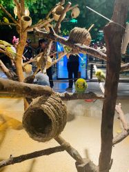 -酷嗒动物文化乐园(cutezoo西溪乐天城店)