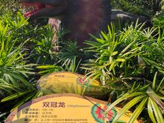 -海南热带野生动植物园