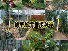 -国家植物园南园
