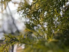 -息烽温泉