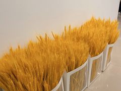 -鲸励母婴月嫂(望京店)