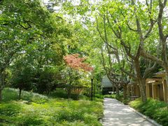-徐家汇源景区-衡山公园
