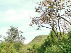 -静之湖湖畔餐厅