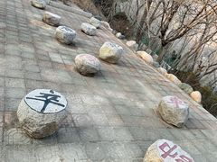 -石老人观光园