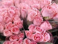 -循礼门鲜花花市(武汉循礼门店)