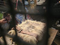 -日本环球影城