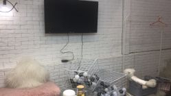 -Sakura Nail Studio美甲美睫