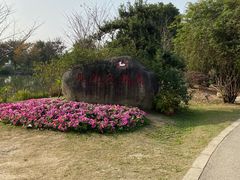 -鹅湖玫瑰文化园