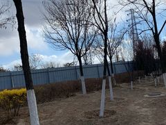 -永定河休闲森林公园