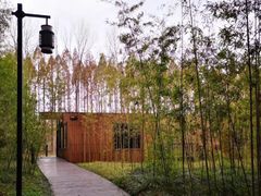 -黄海国家森林公园