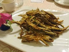 -合晋食府(广州合晋帝苑酒店)