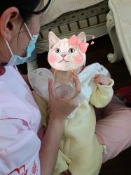 -大美臻喜母婴(重庆创始店)