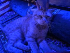 -考拉拉音乐酒吧