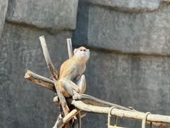 -齐齐哈尔龙沙动植物园