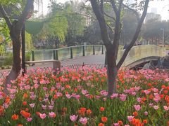 -白塘生态植物园