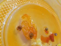 -新辣道鱼火锅(领展购物广场·中关村店)